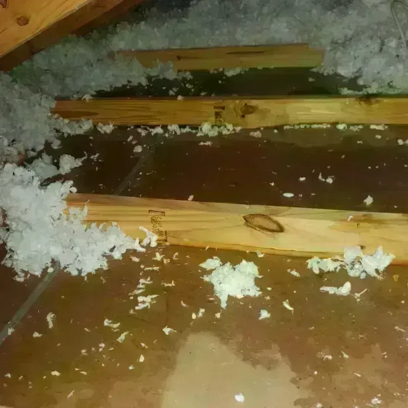 Attic Water Damage in Upper Fruitland, NM